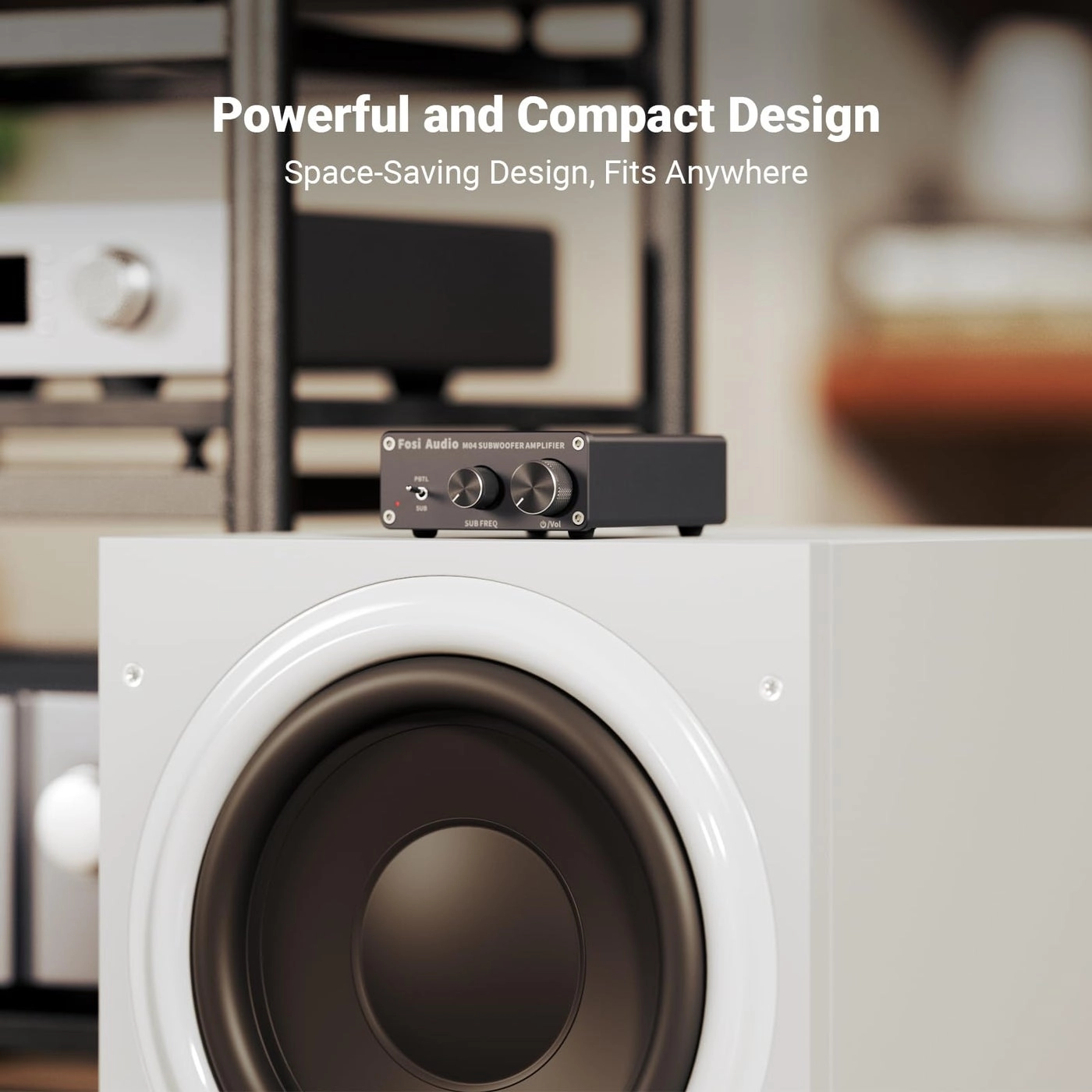 M04 - Class D Mono Channel