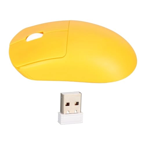 Wireless Mouse - 2.4G Receiver