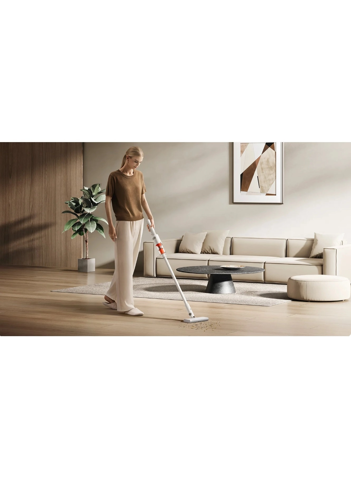 Vacuum Cleaner (P30)