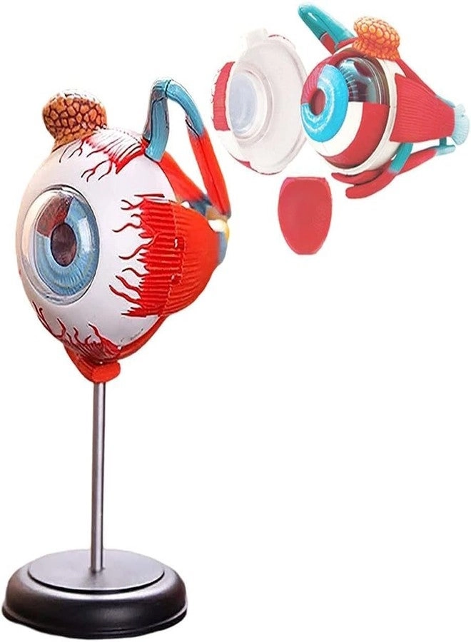 KidsZeeNie Game 3D Realistic Eye