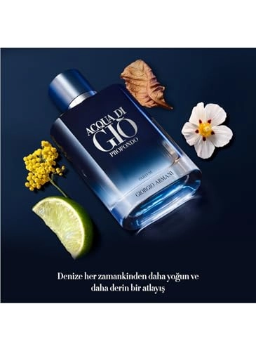 Acqua Di Giò Profondo - Eau de Parfum 100ml