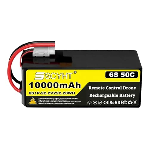 Lipo Battery - 10000mAh