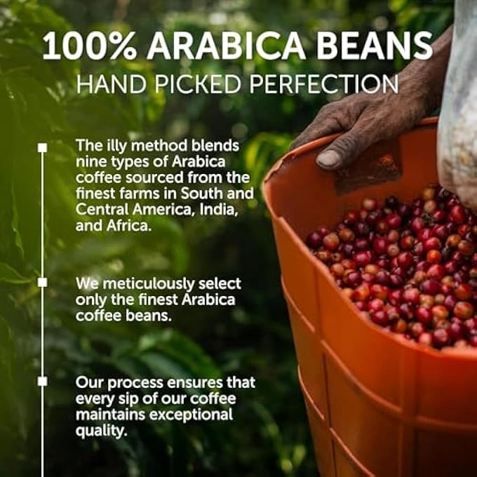 Y3.3 - Single Serve + IperEspresso Capsules - Classico 42 Count