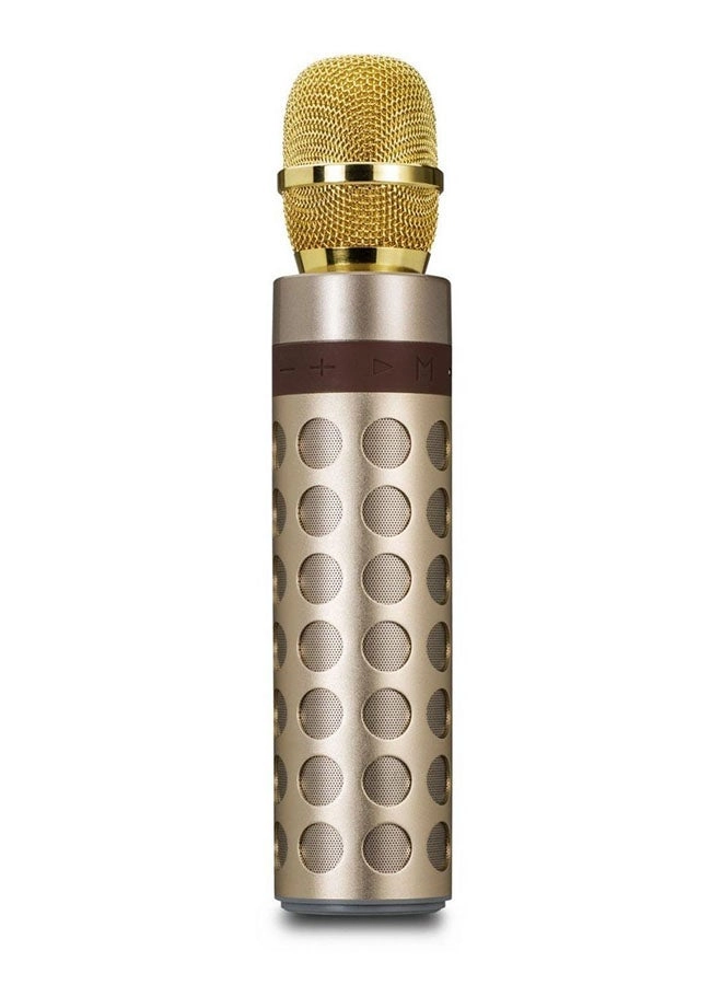 Generic 4455800182 Wireless Microphone