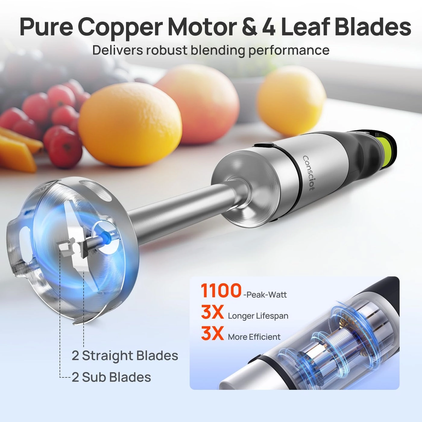 Immersion Hand Blender - 1100W