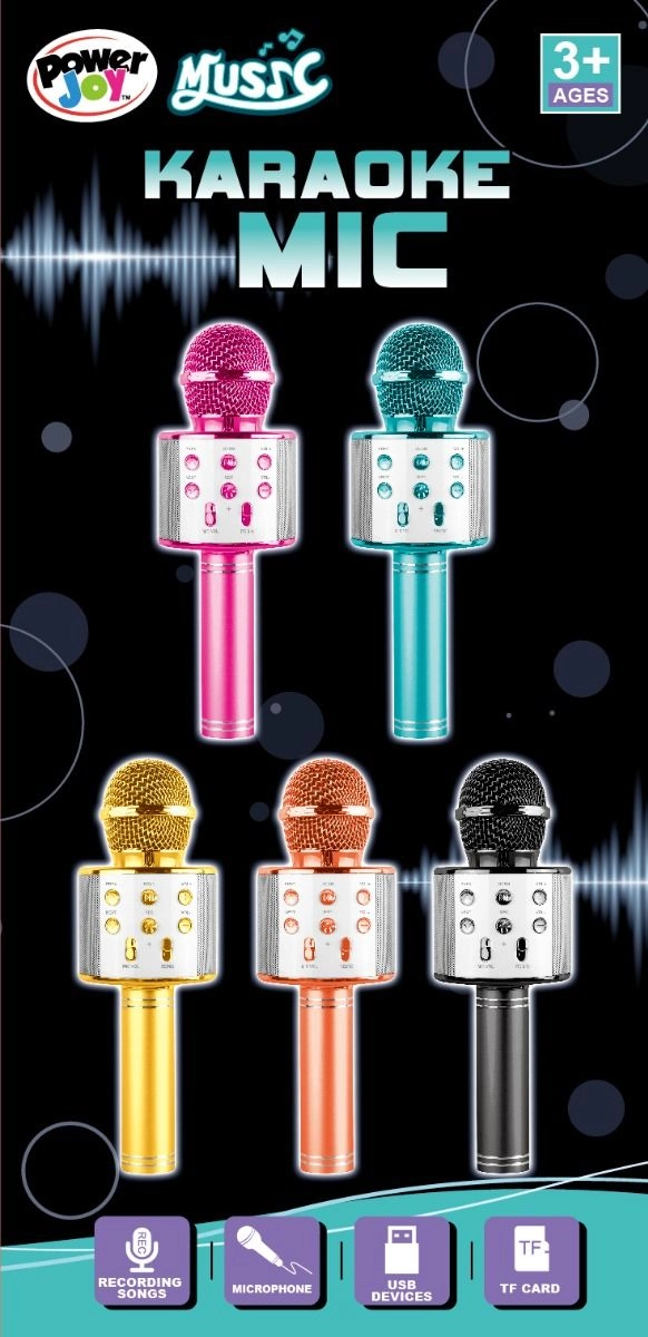 Music Karaoke Microphone - 3 years+