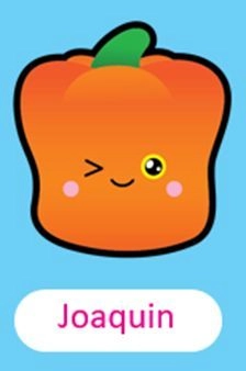 Stir frys - 10 cm Multi Colour