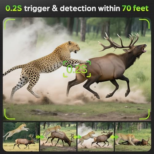 Trail Camera - 64MP