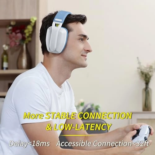 BW02-BT Wireless Headset