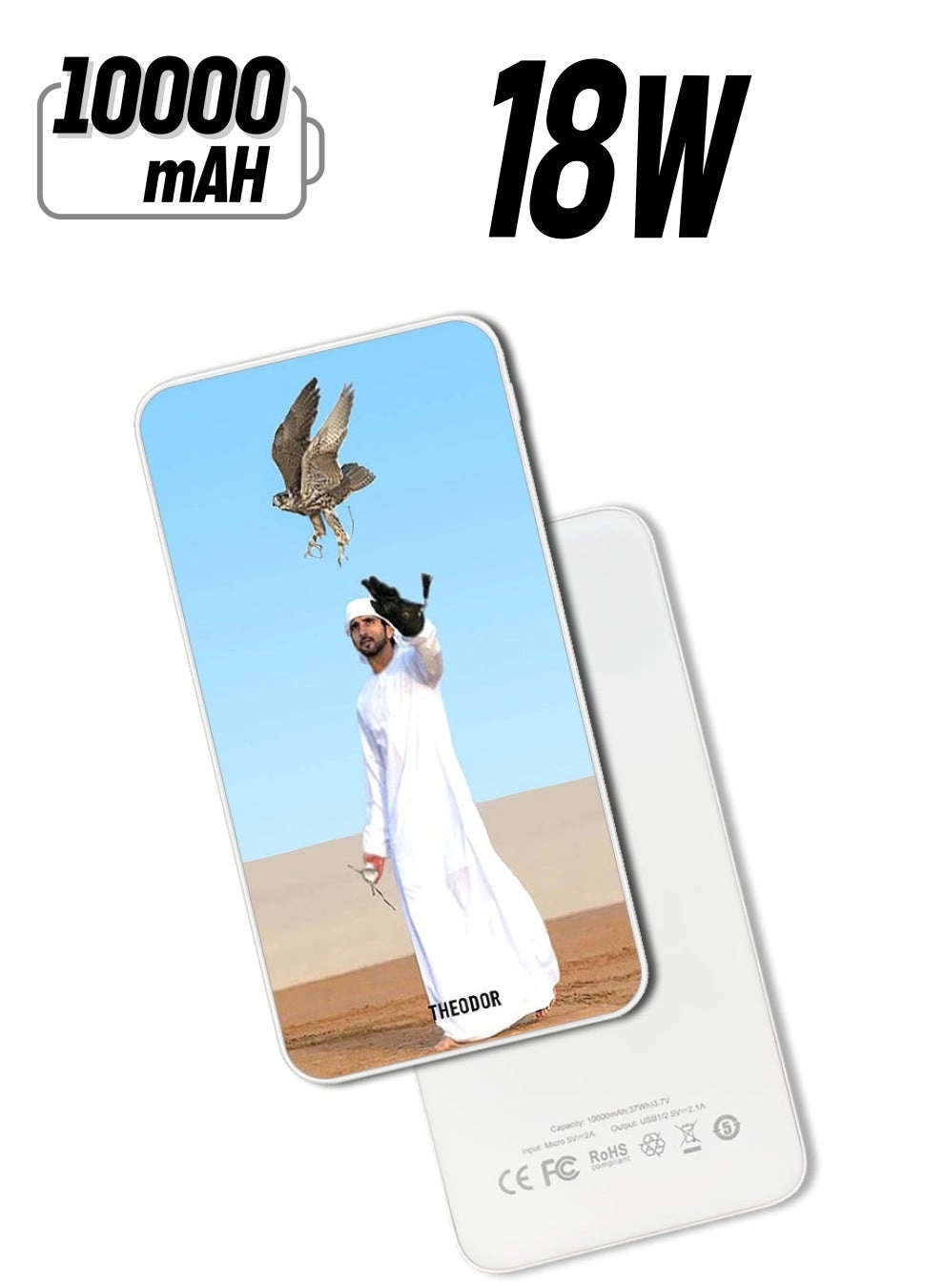 Theodor EX_PPBA537 - 10000 Watt-hour