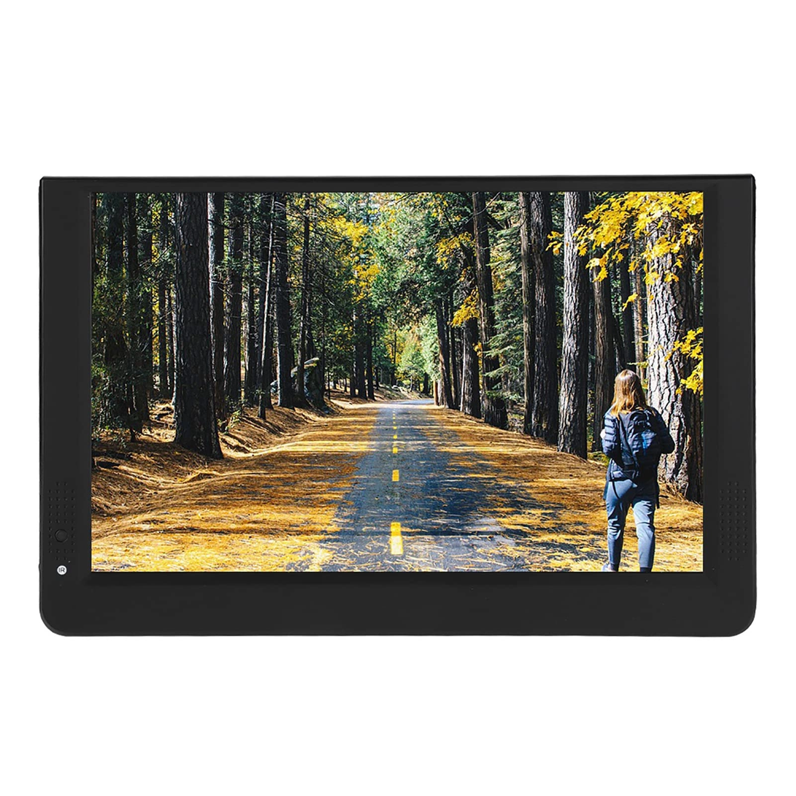 Portable Digital TV - 1080p 12 inch