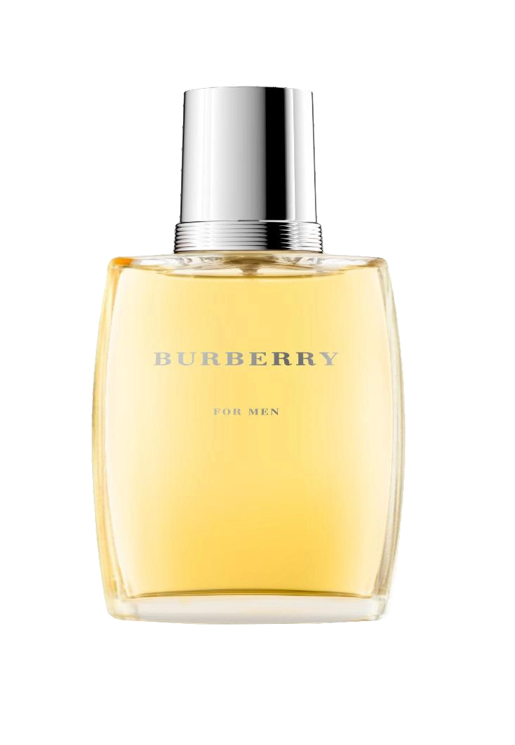 Mr.Burberry Eau de Toilette 100 ml