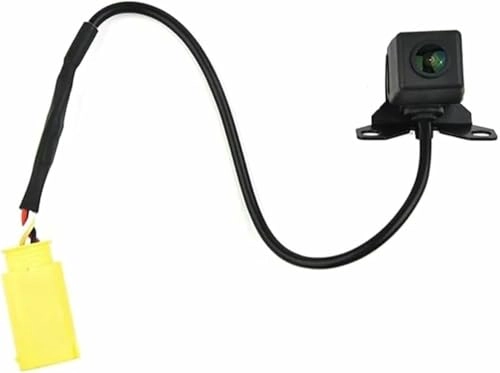 Rear Camera - Night Vision