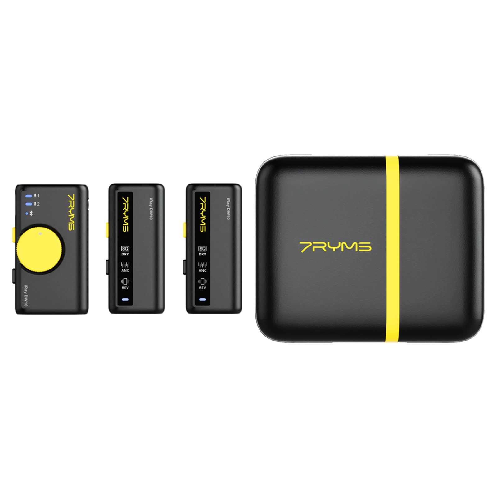 Labymos iRay DW10 - 2 Microphones