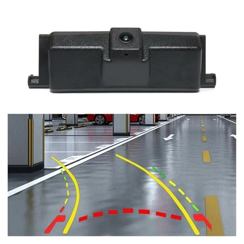 Reverse Camera - 648*488 pixels