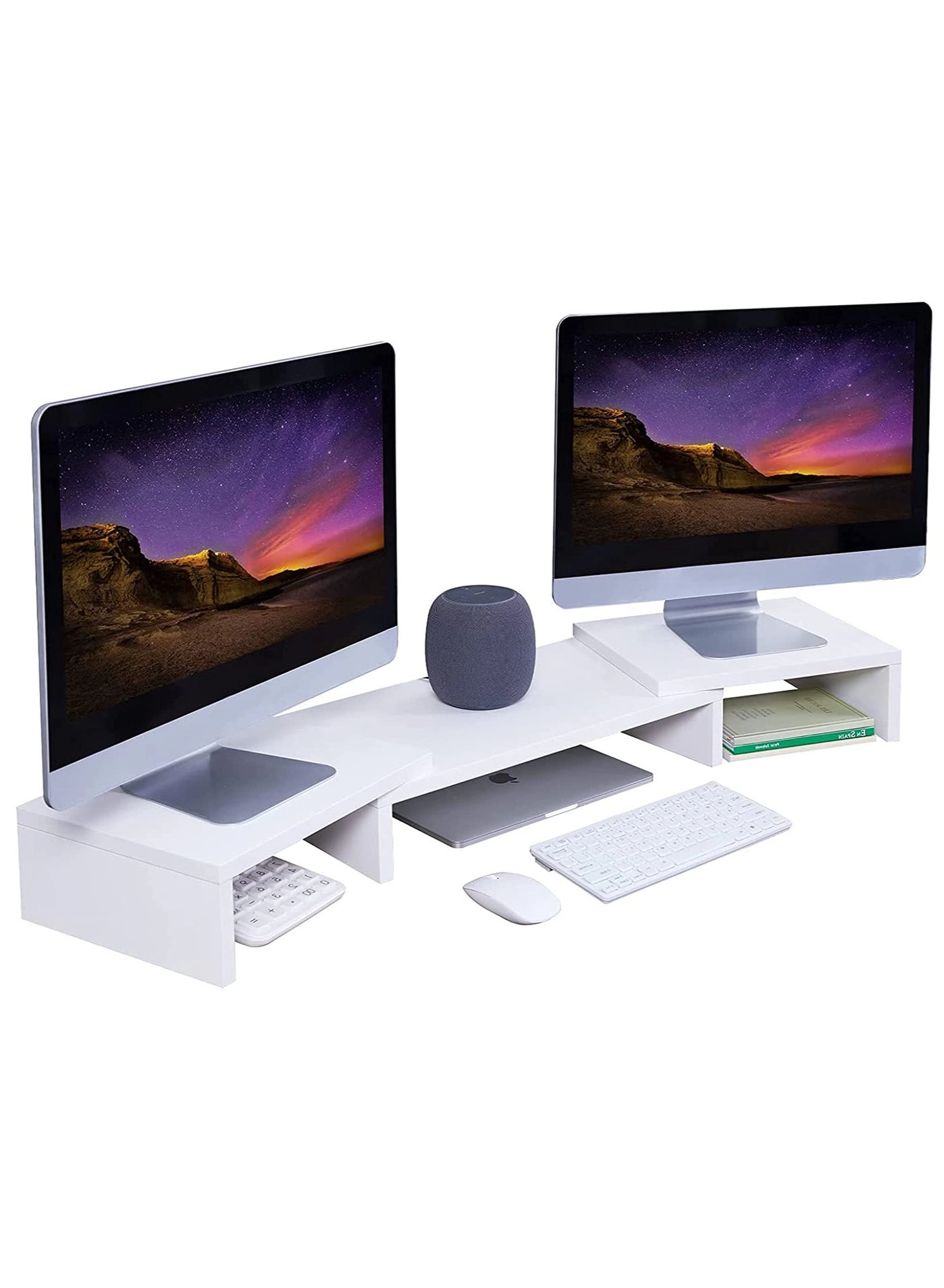 erorex Dual Monitor Stand - 2 Monitors