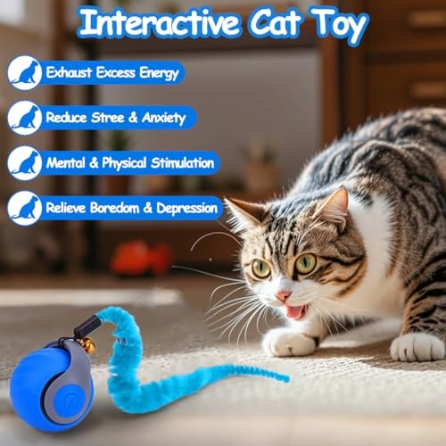 Cat Ball Toy - Self Rolling Rechargeable Motion Activated