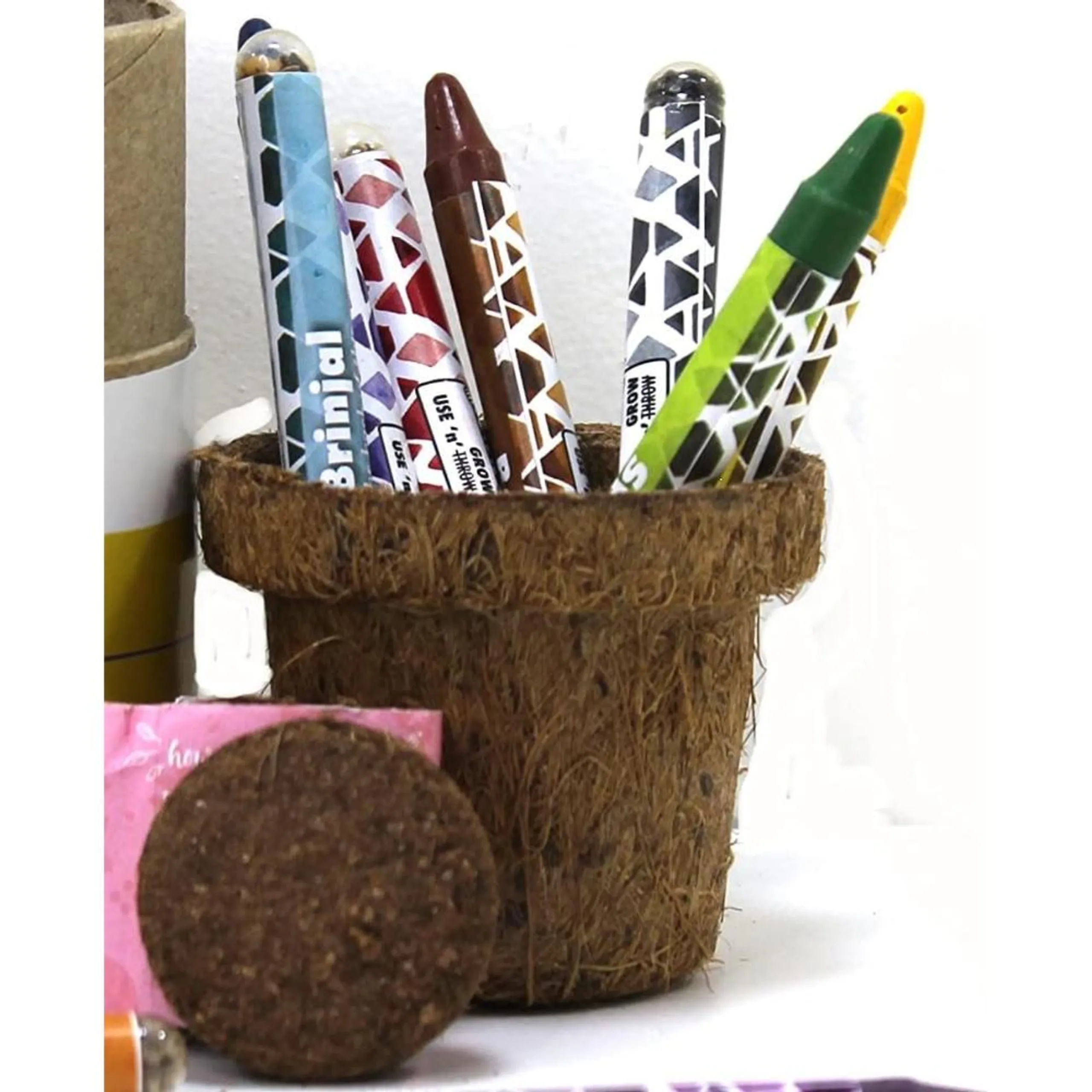 Earthling GIY Kit - Plantable Crayons Suitable for 3 years & above