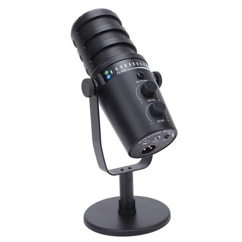 Dynamic Microphone USB+Wireless Microphone