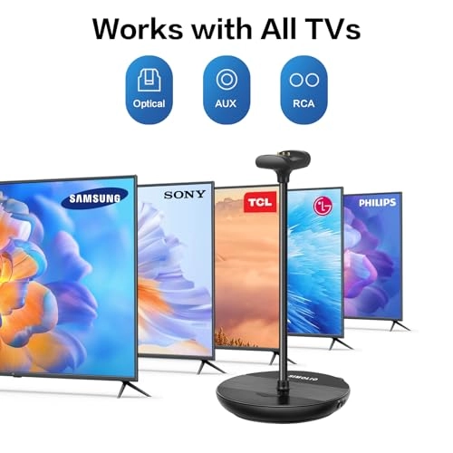 SM-829D1 Wireless Headphone