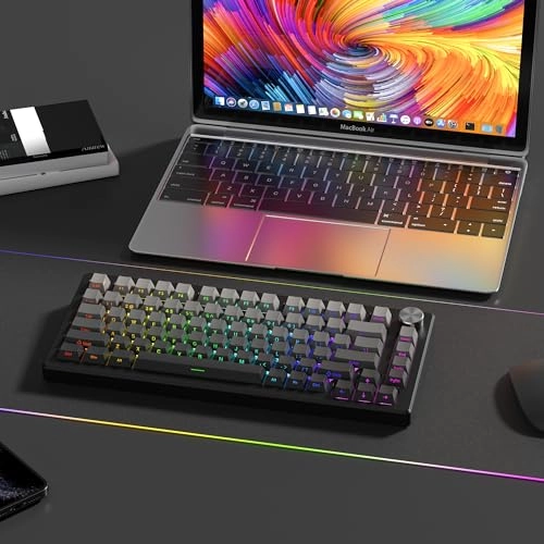 Womier PBT keycaps - 75 Percent Mechanical keyboard