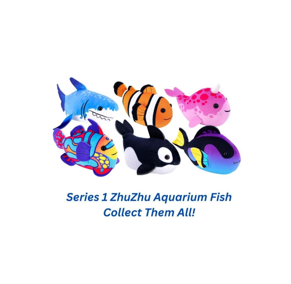 Aquarium Starter Set