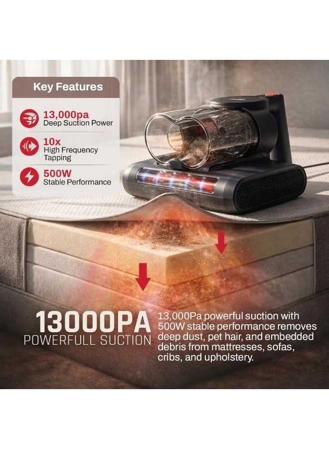 Dustro - 13000 Pa 500 W