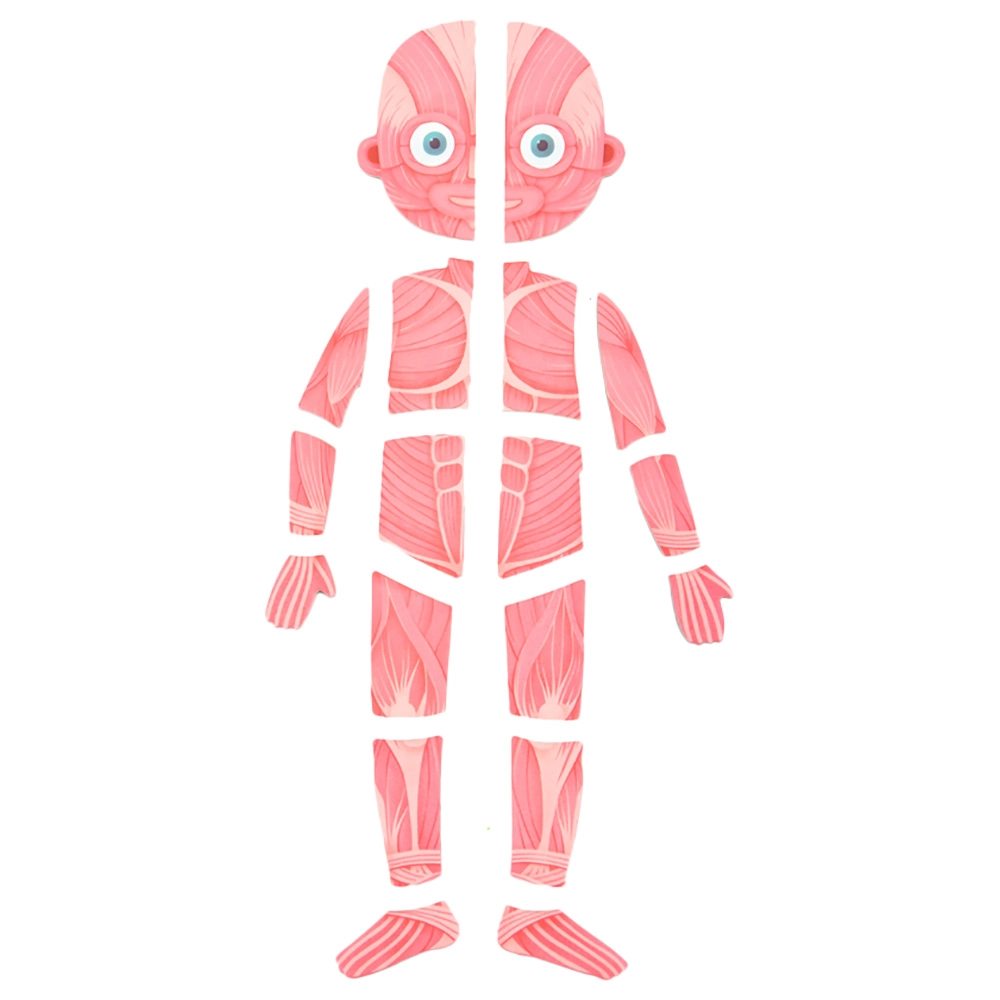 Body Magnetic Puzzle (TOP-CT7013) - 90 pcs