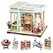 Miniature House Kit - Pet Shop