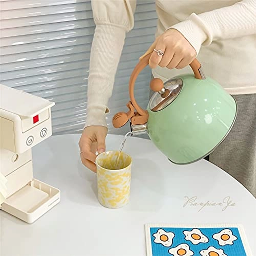 Stainless Steel Kettle - 2.5L