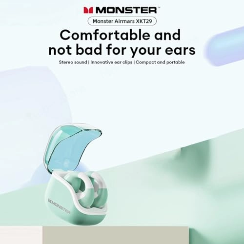 pdygevgbnq-PAA6255 Wireless Earbud