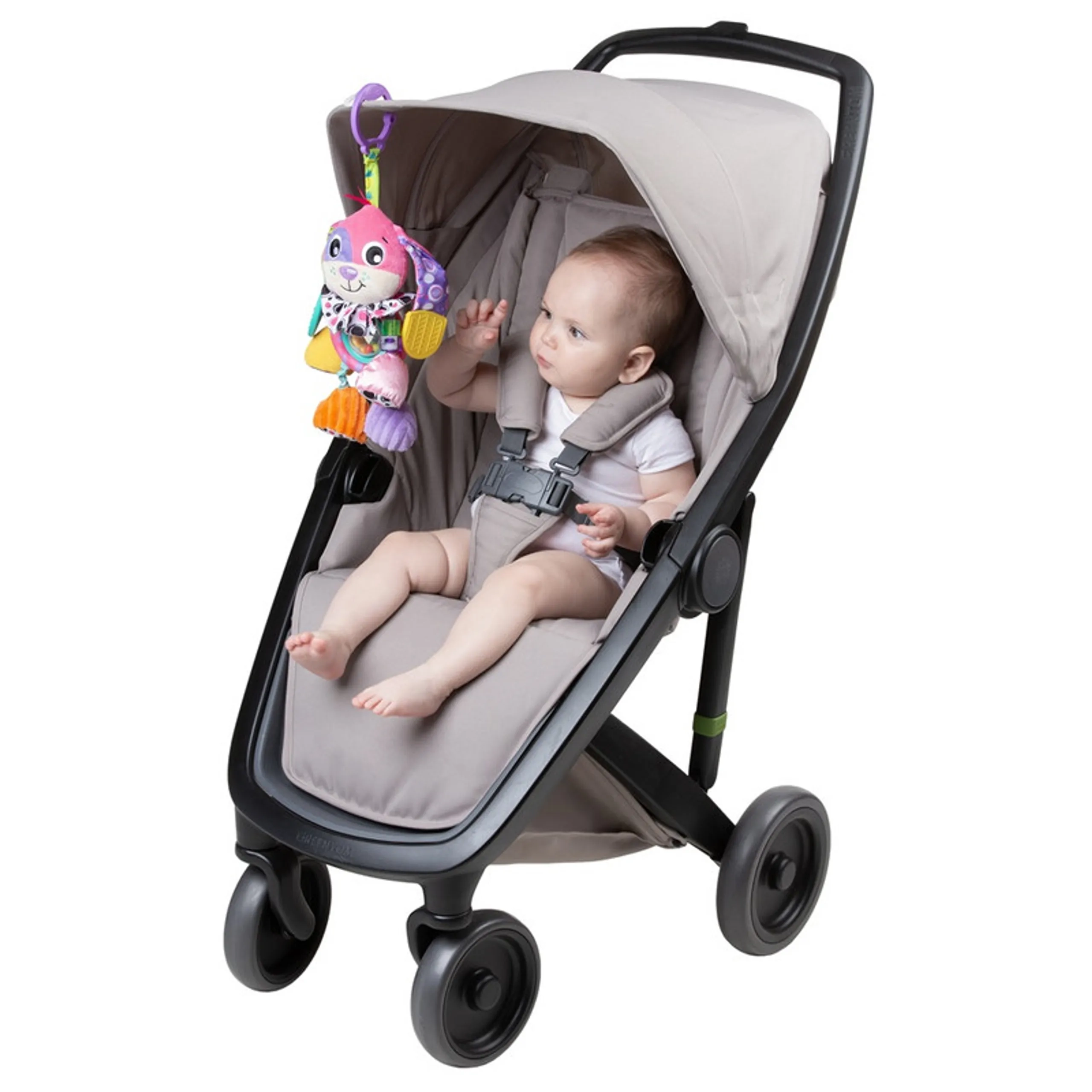 Activity Friend Crib And Stroller Toy - Doofy Dog - Suitable for 3 months & above