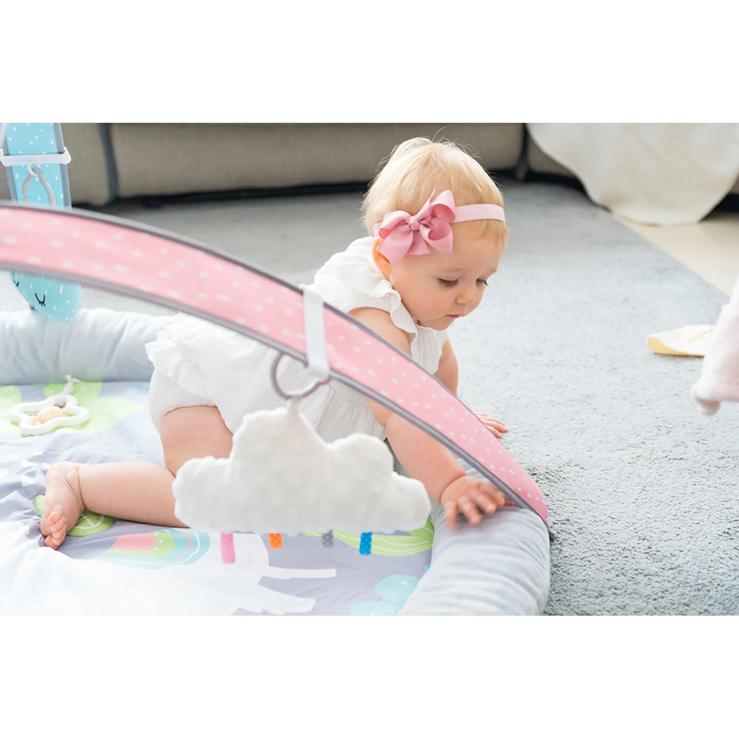 Little Llama - 0 month & above