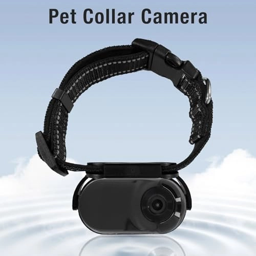 Pet Collar Camera - Approx. 63.8x31x21mm / 2.51x1.22x0.83in Cat