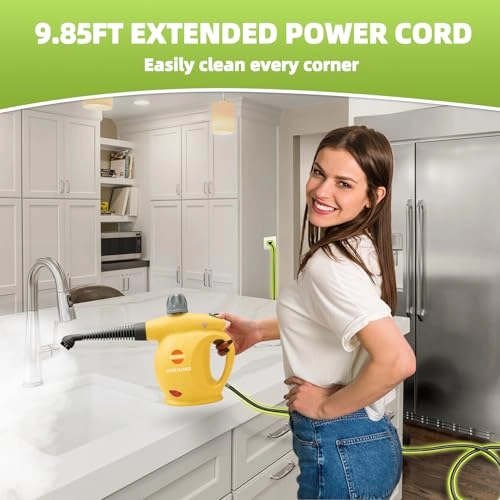 steam cleaner - 3.5E+2 Milliliters