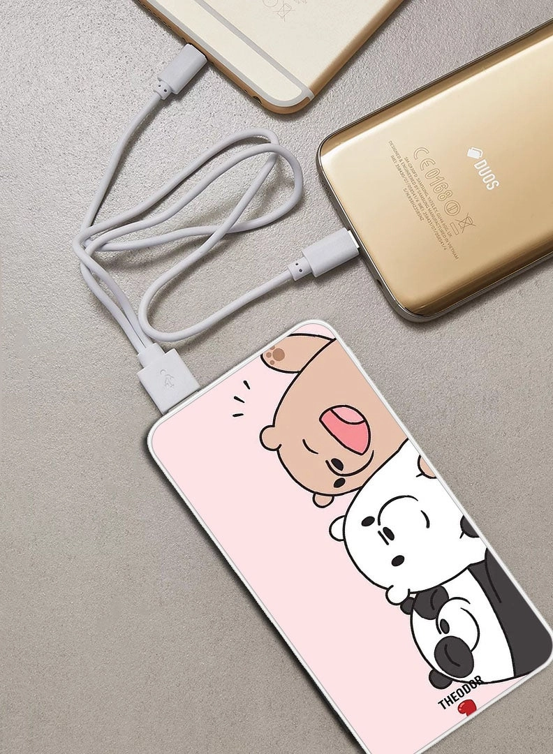 EX_PPBA622 - 10000 Watt-hour 18W PD