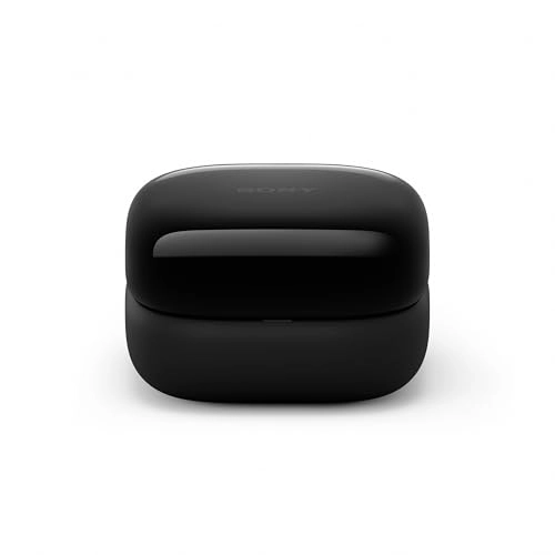 LinkBuds Open Wireless Earbud