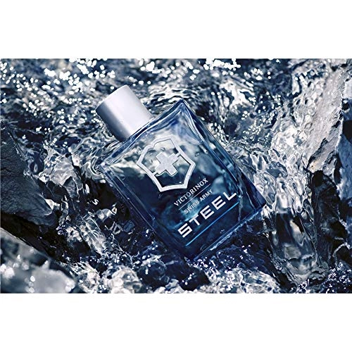 Steel Eau de Toilette 100 ml