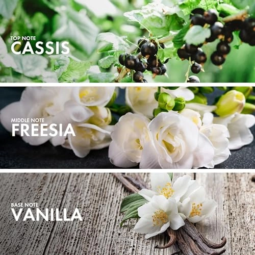 Currant Benzoin Eau de Parfum 50 ml