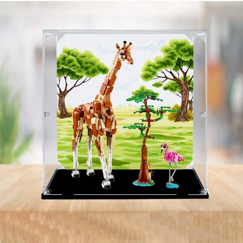 Clear Acrylic Display Case - 13.77x13.77x13.77in. Background+top Light