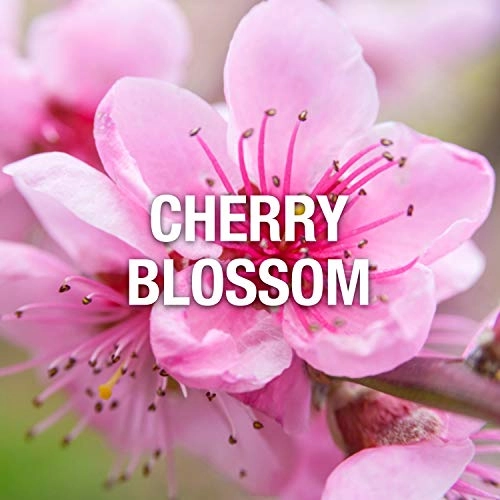 Red Eau de Toilette 90 ml