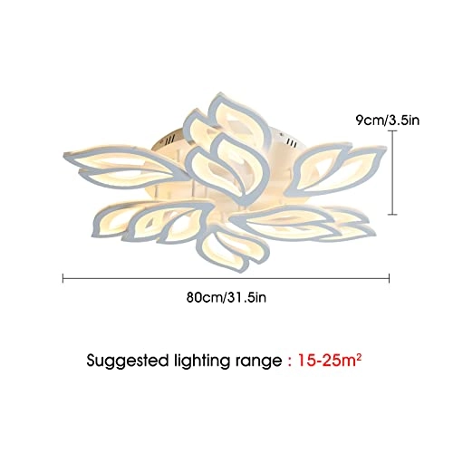 Modern Ceiling Light - 3000K-6500K Dimmable