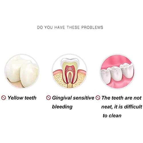 Electric Toothbrush - 3 Modes 4 Brush Heads IPX7 Waterproof