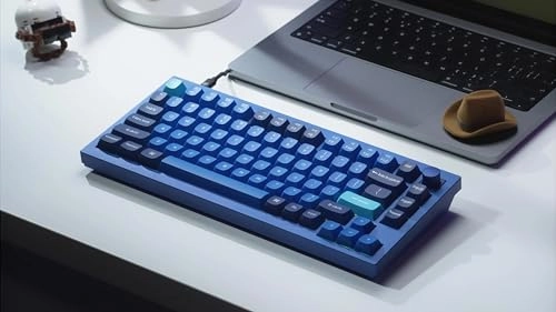 Q1-O2 - Wired/Wireless