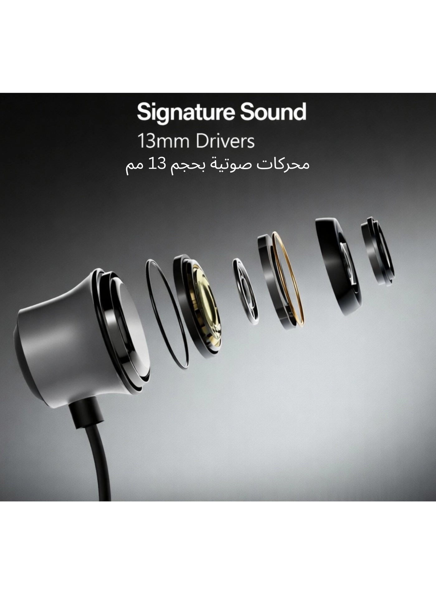 210 ANC Neckband Wireless Earbud