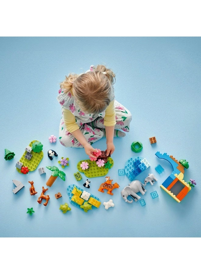 DUPLO Town Wild Animal Families (10446) - 2+ Years Multicolour