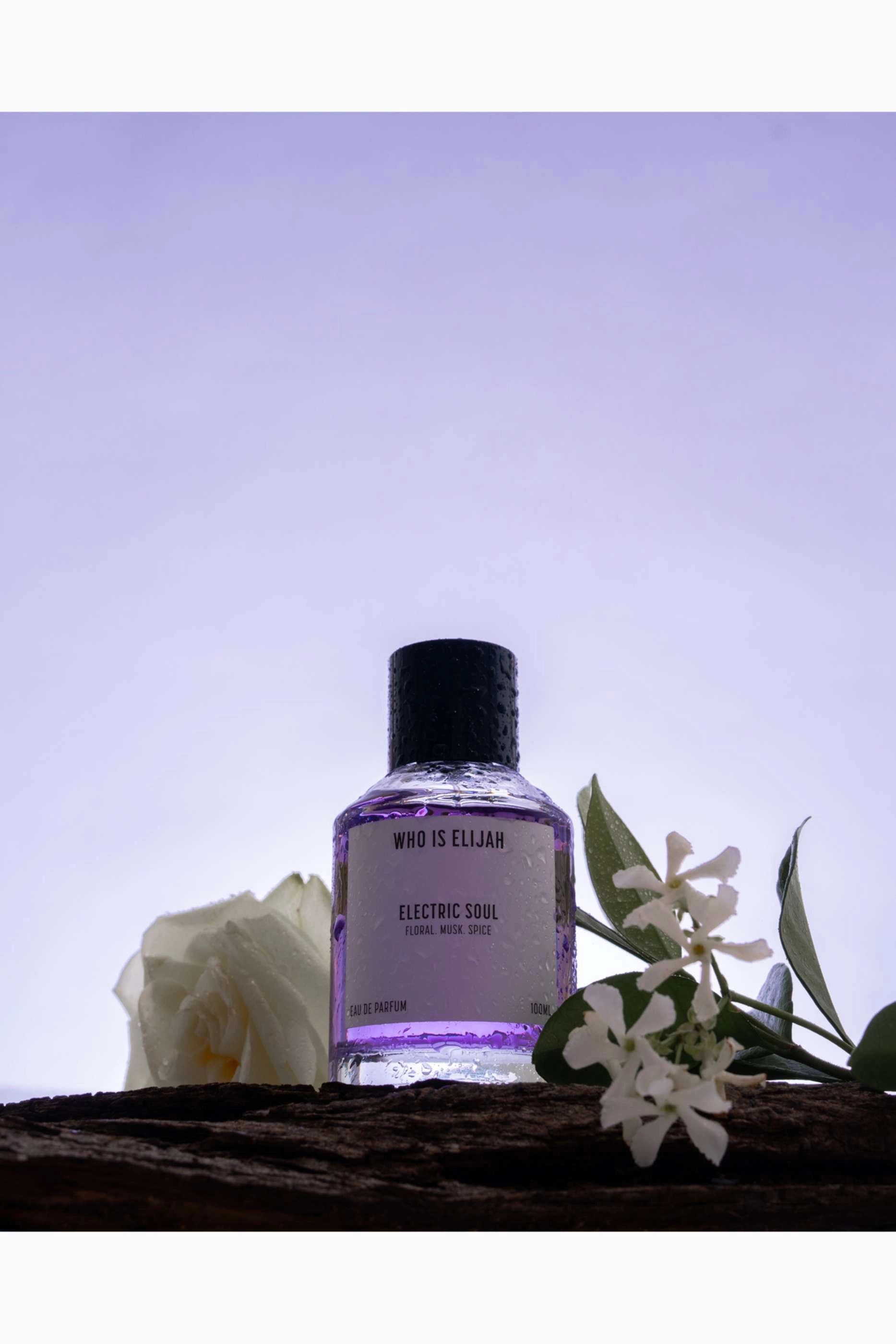 Electric Soul Eau de Parfum - 100ml