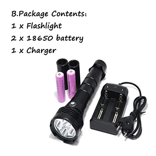 Submersible Light