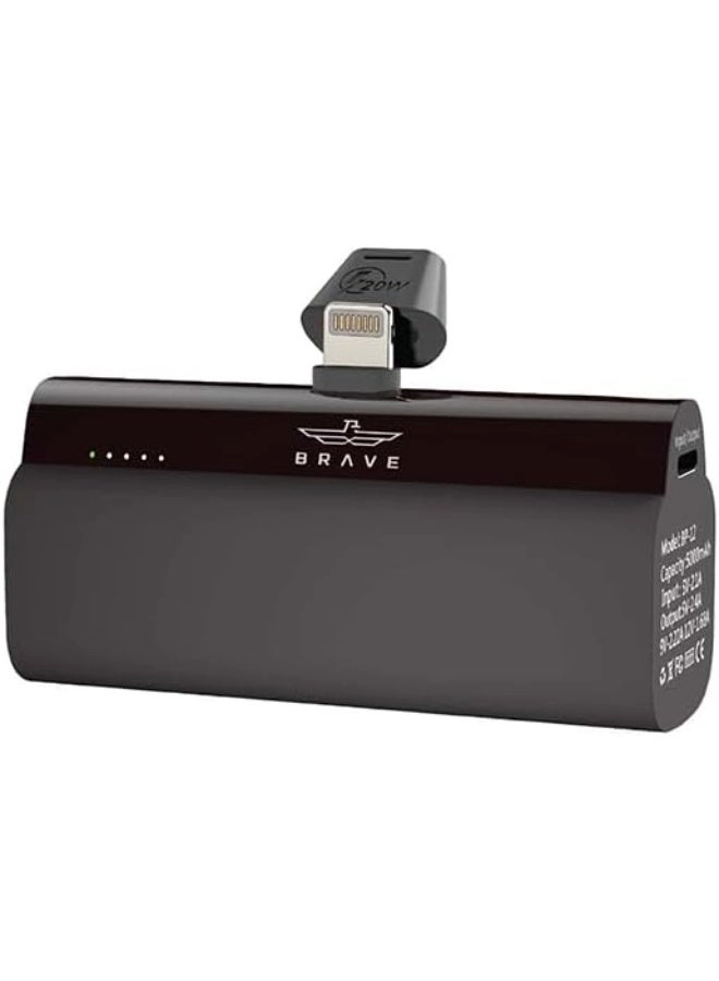 Mini - 5000 Watt-hour 20 Watt