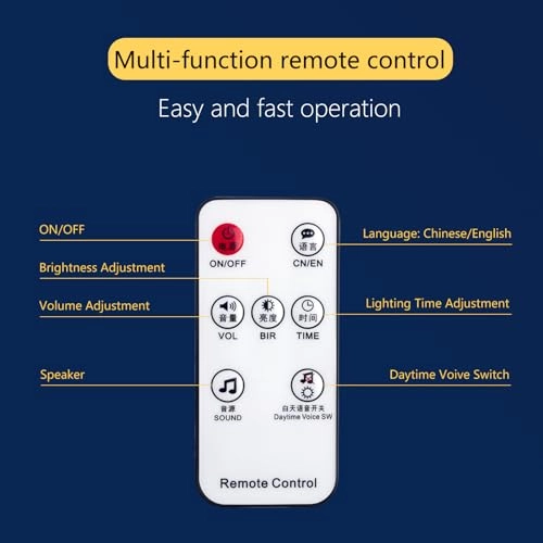 Solar Fake Camera - Outdoor